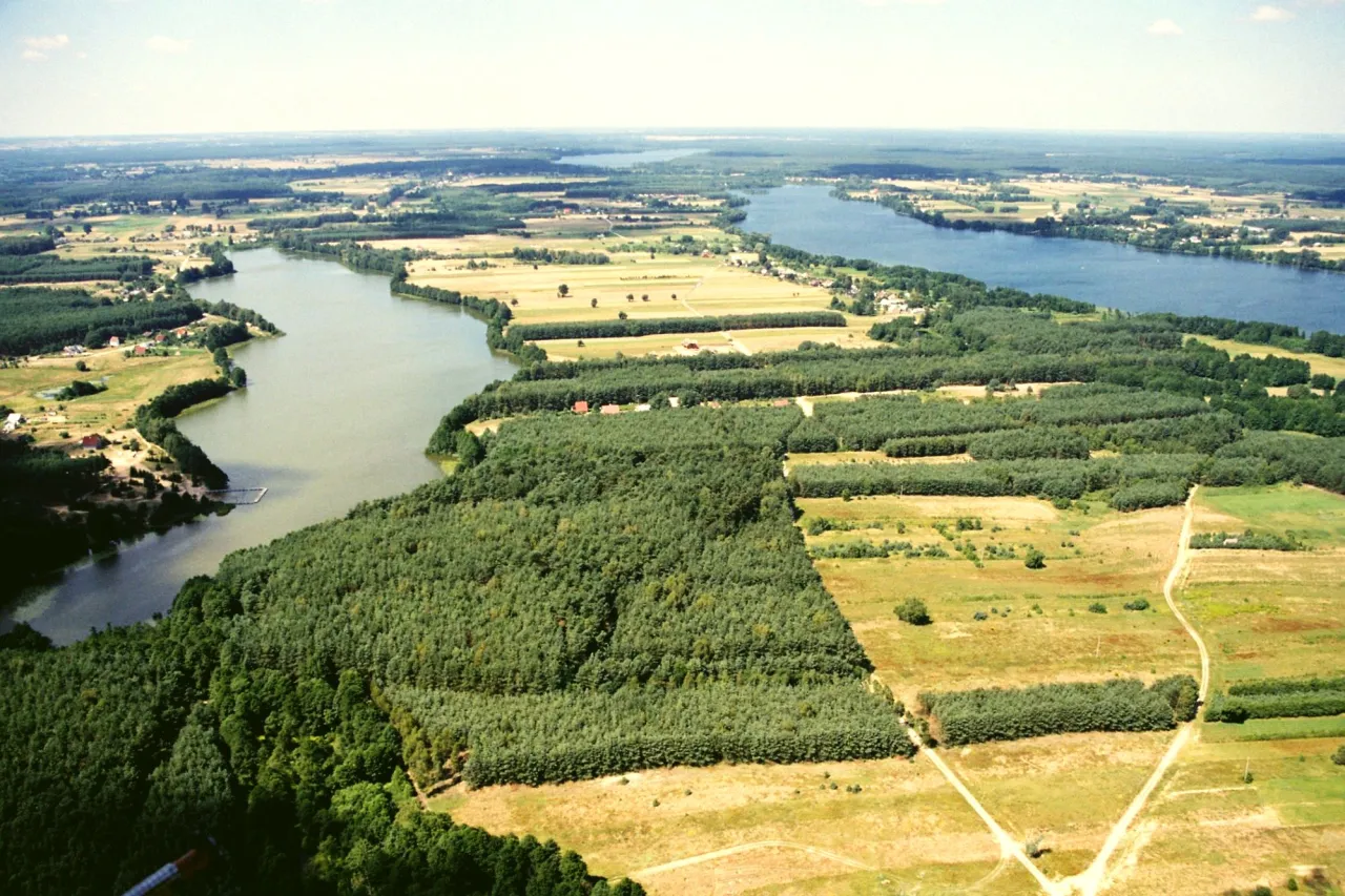 Zdjęcie Jezioro Białe w Gostyninie: Opinie turystów o najczystszej plaży