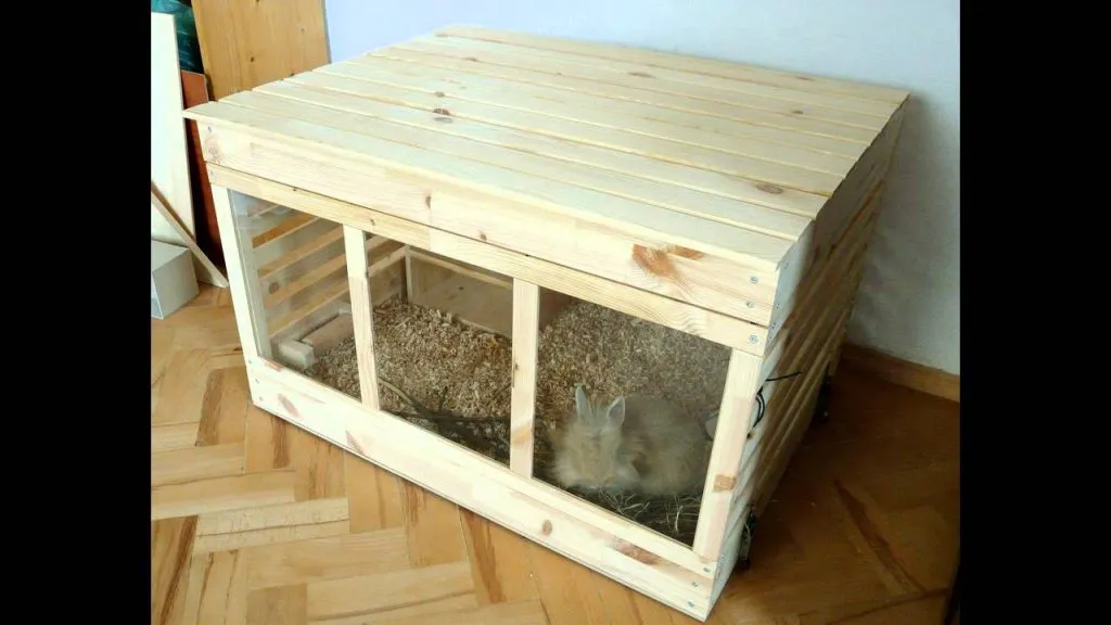Zdjęcie Co na dno klatki dla królika? 5 najlepszych materiałów