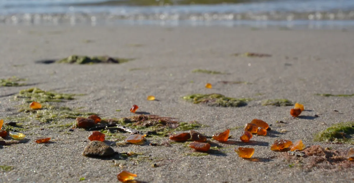 Zdjęcie Gdzie szukać bursztynu w Kołobrzegu? Odkryj najlepsze miejsca i porady
