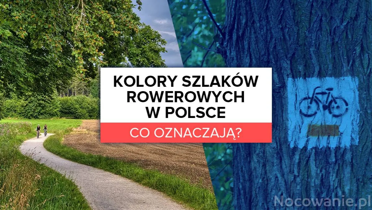 Zdjęcie Co oznacza szlak rowerowy czerwony i dlaczego warto go poznać?