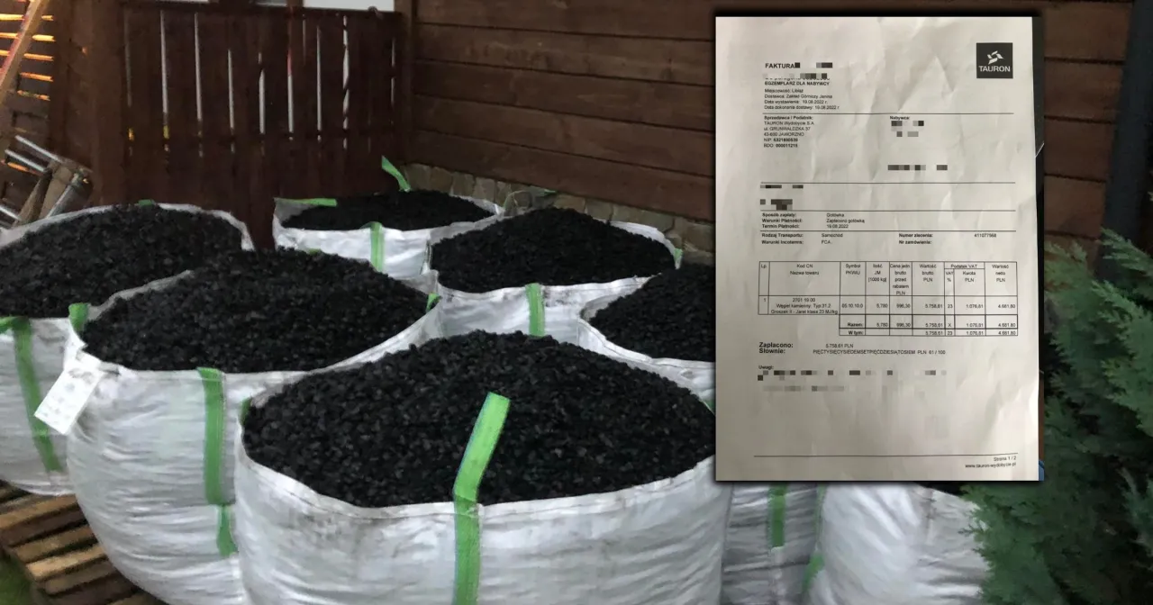 Zdjęcie Po ile jest ekogroszek w Castoramie? Ceny, które Cię zaskoczą