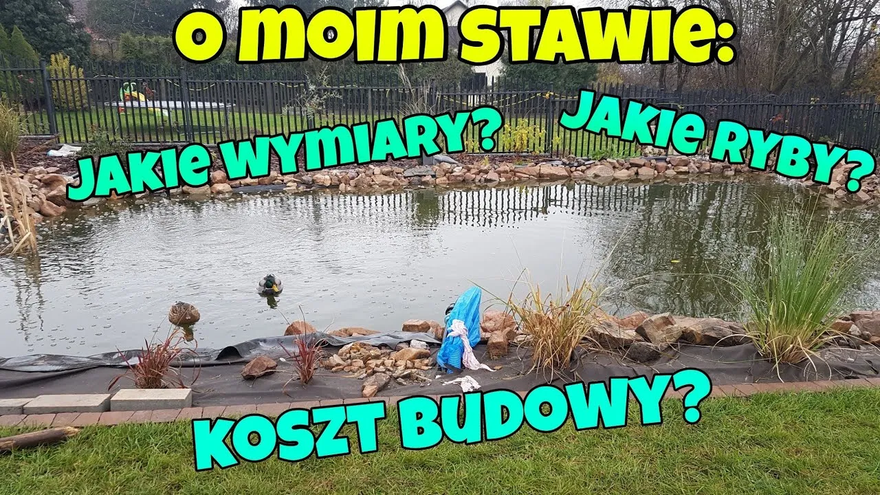 Zdjęcie Ile kosztuje budowa stawu rybnego? Poznaj ceny i wydatki