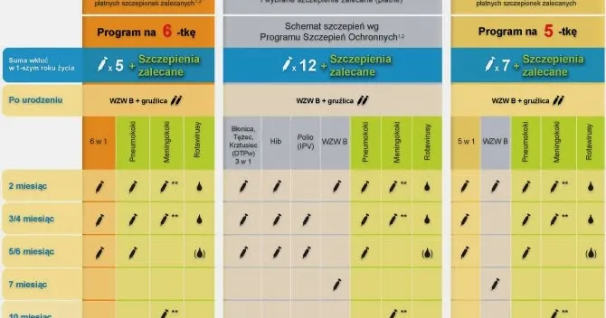 Zdjęcie Szczepionki na NFZ czy skojarzone: co wybrać, by uniknąć kosztów?