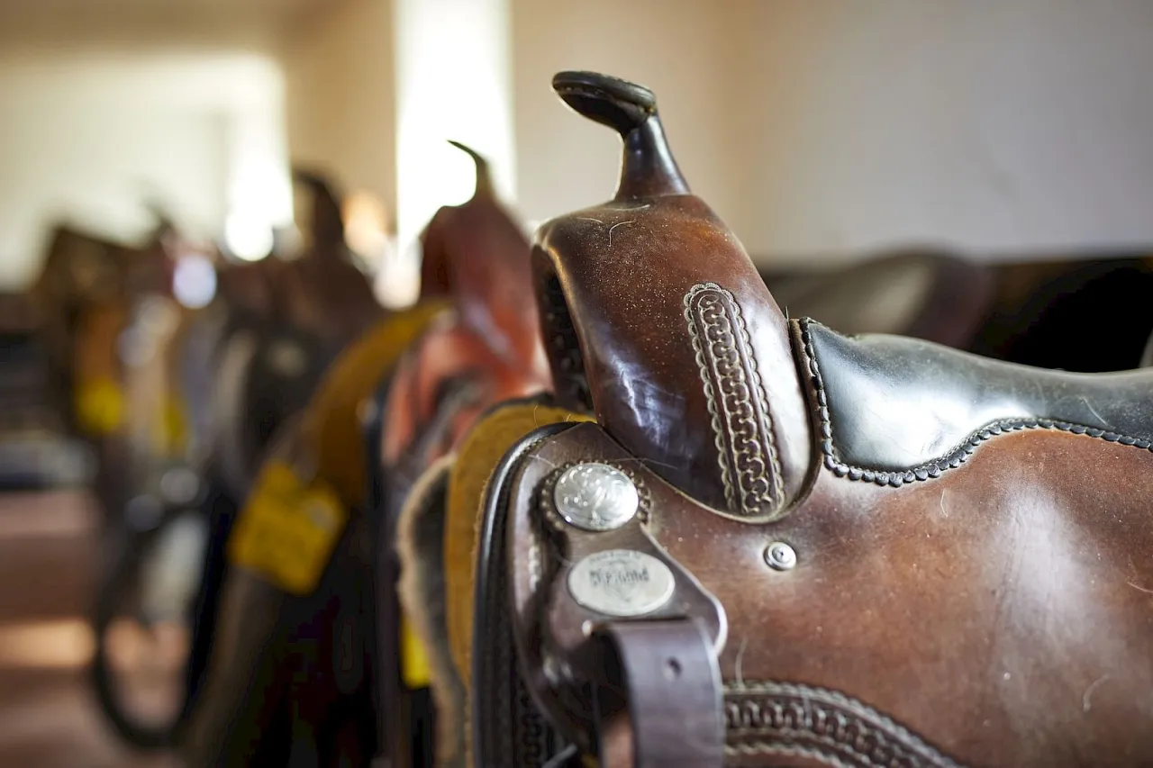 Zdjęcie Vielfältige Möglichkeiten für Westernreiten Unterricht in Deutschland