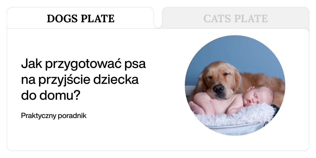 Zdjęcie Jak wprowadzić dziecko do domu z psem? Poradnik behawiorysty