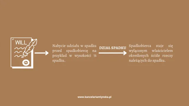 Zdjęcie Jak wygląda rozprawa o dział spadku? Kluczowe informacje i porady