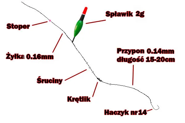 Zdjęcie Jak wybrać idealny spławik na płoć w różnych warunkach wodnych