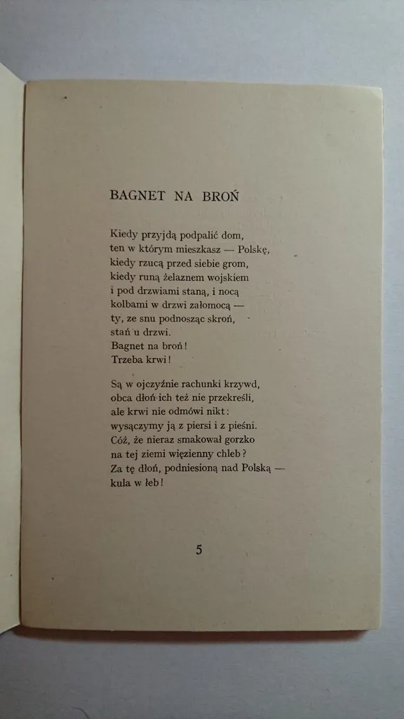 Zdjęcie Bagnet na broń wiersz - analiza patriotycznego przesłania Broniewskiego