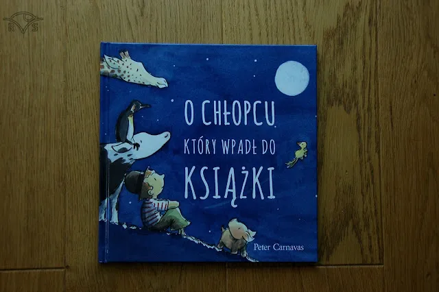 Zdjęcie O chłopcu który wpadł do książki PDF - gdzie znaleźć i pobrać?