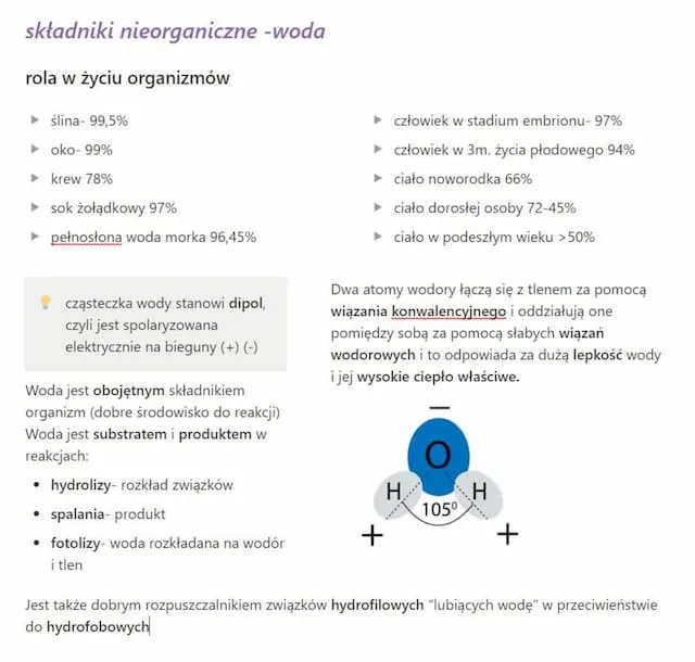 Zdjęcie Znaczenie wody dla organizmów żywych w biologii: kluczowe procesy i adaptacje