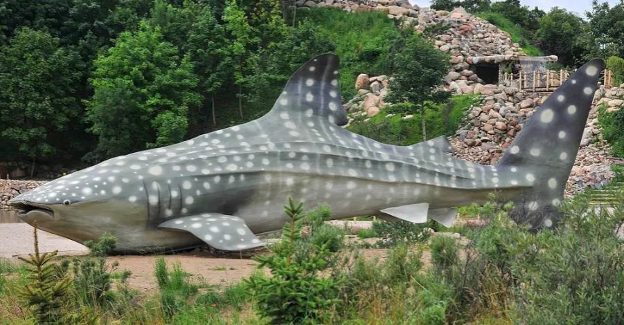 Zdjęcie Oceanarium w Niechorzu - fascynujące atrakcje i praktyczne informacje