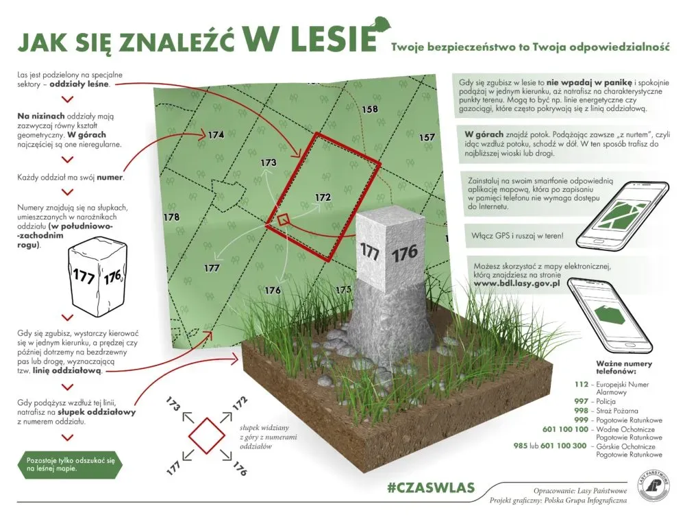 Zdjęcie Jak nie zgubić się w lesie? Aplikacje i porady GPS