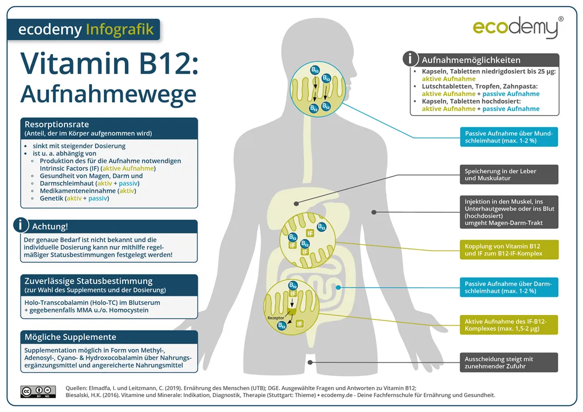 Zdjęcie Ratiopharm Vitamin B12: Vorteile, Dosierung und wichtige Hinweise