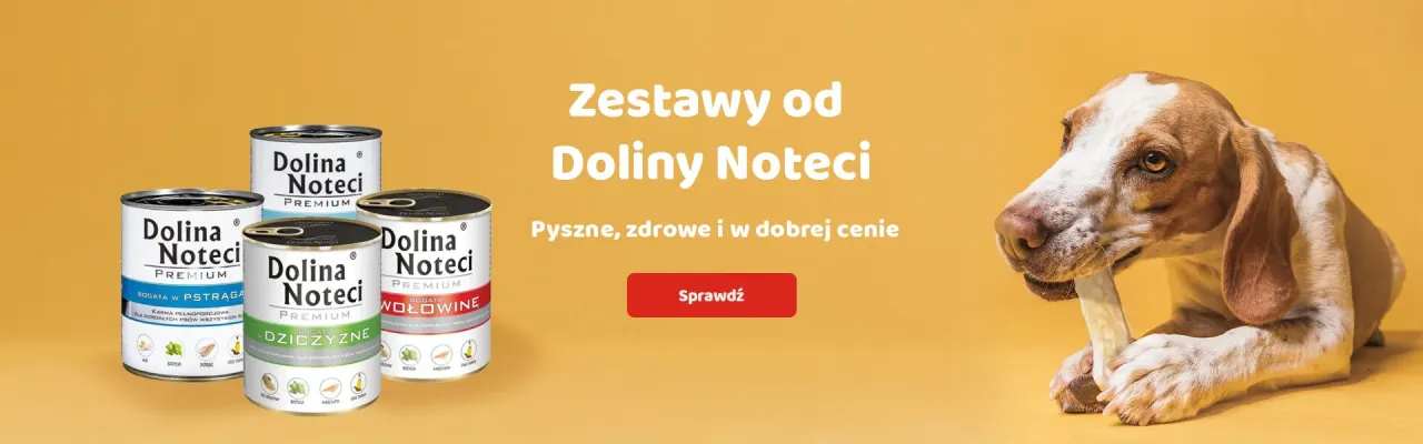 Zdjęcie Gdzie kupić librela dla psa? Sprawdź najlepsze miejsca i ceny