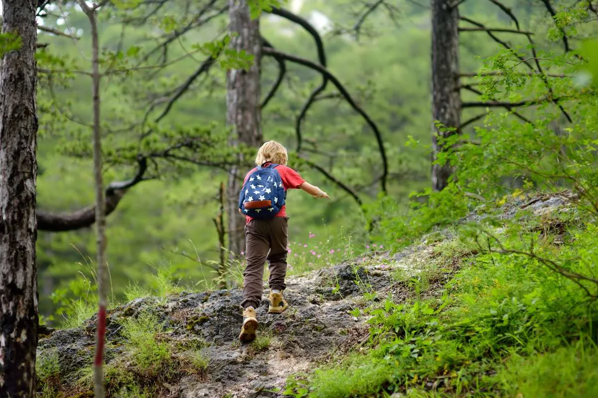 Zdjęcie Beskid Niski atrakcje: odkryj niezapomniane miejsca i przygody