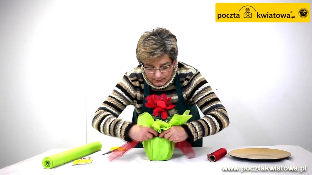 Zdjęcie Jak ozdobić doniczkę bibułą - proste i efektowne pomysły DIY