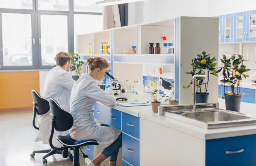 Zdjęcie Jak założyć laboratorium chemiczne bez zbędnych kosztów i problemów