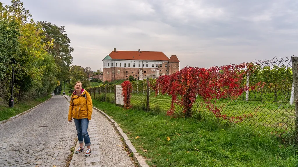 Zdjęcie Sandomierz atrakcje turystyczne – odkryj najpiękniejsze miejsca w mieście