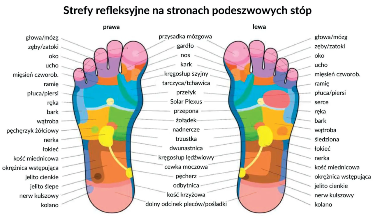 Zdjęcie Punkty akupunktury na stopach: Mapa zdrowia i ulgi w bólu