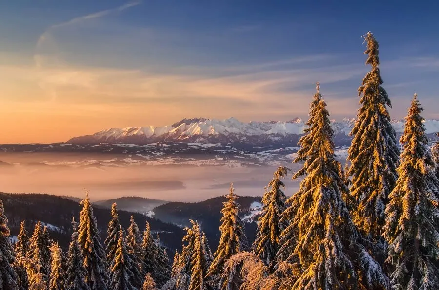 Zdjęcie Kuchnia regionalna Zakopane: smaki, które musisz spróbować