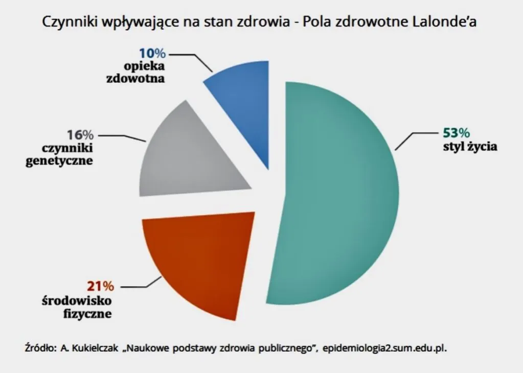 Zdjęcie Styl życia co to? Zrozumienie nawyków, które kształtują nasze życie