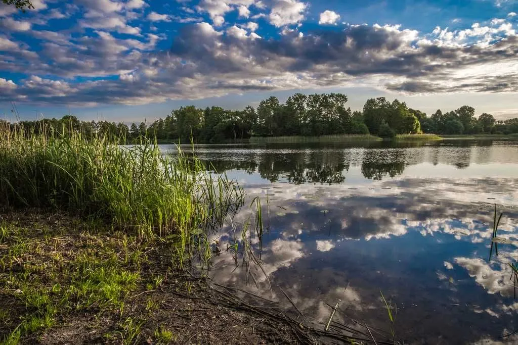 Zdjęcie Atrakcyjne działki nad jeziorem w Zachodniopomorskiem - inwestuj mądrze