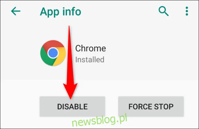 Zdjęcie Jak zainstalować przeglądarkę Google Chrome w prosty sposób i bez problemów