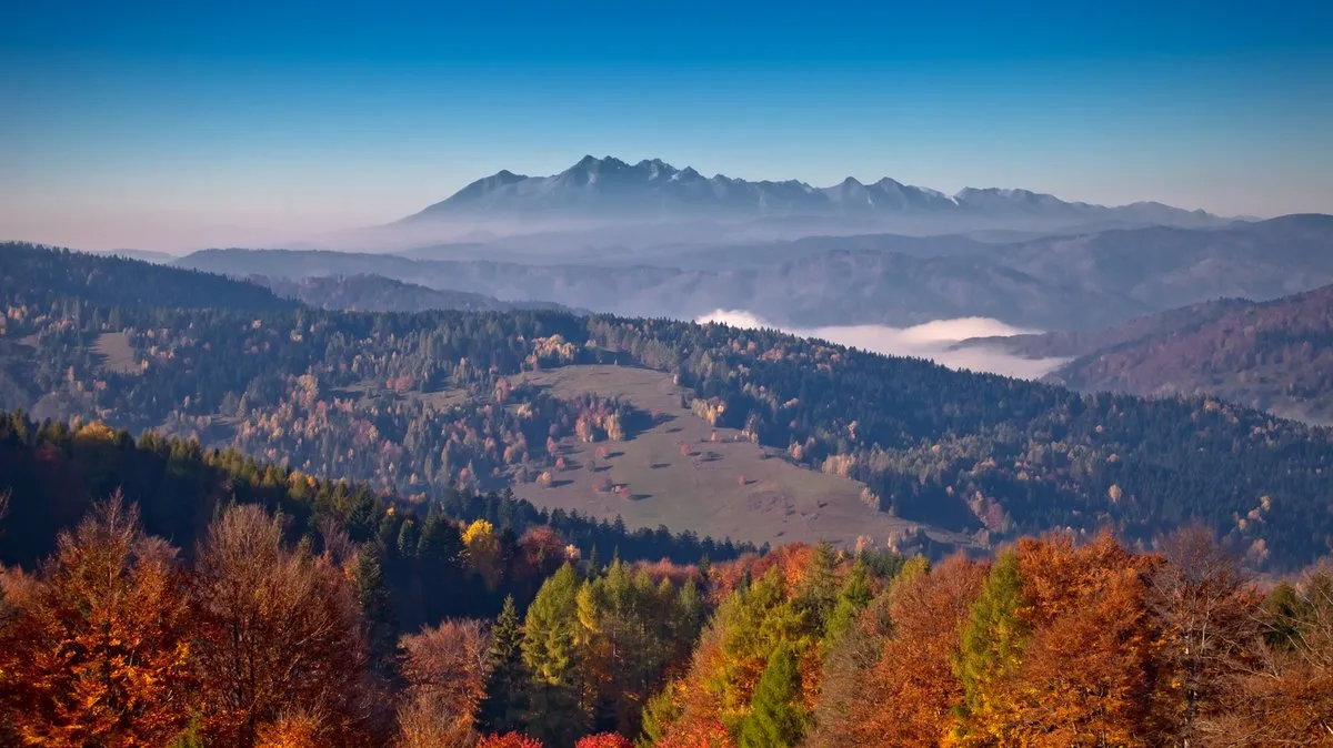 Zdjęcie Bacówka Czorsztyn: Odkryj tradycyjne smaki i niezapomniane widoki