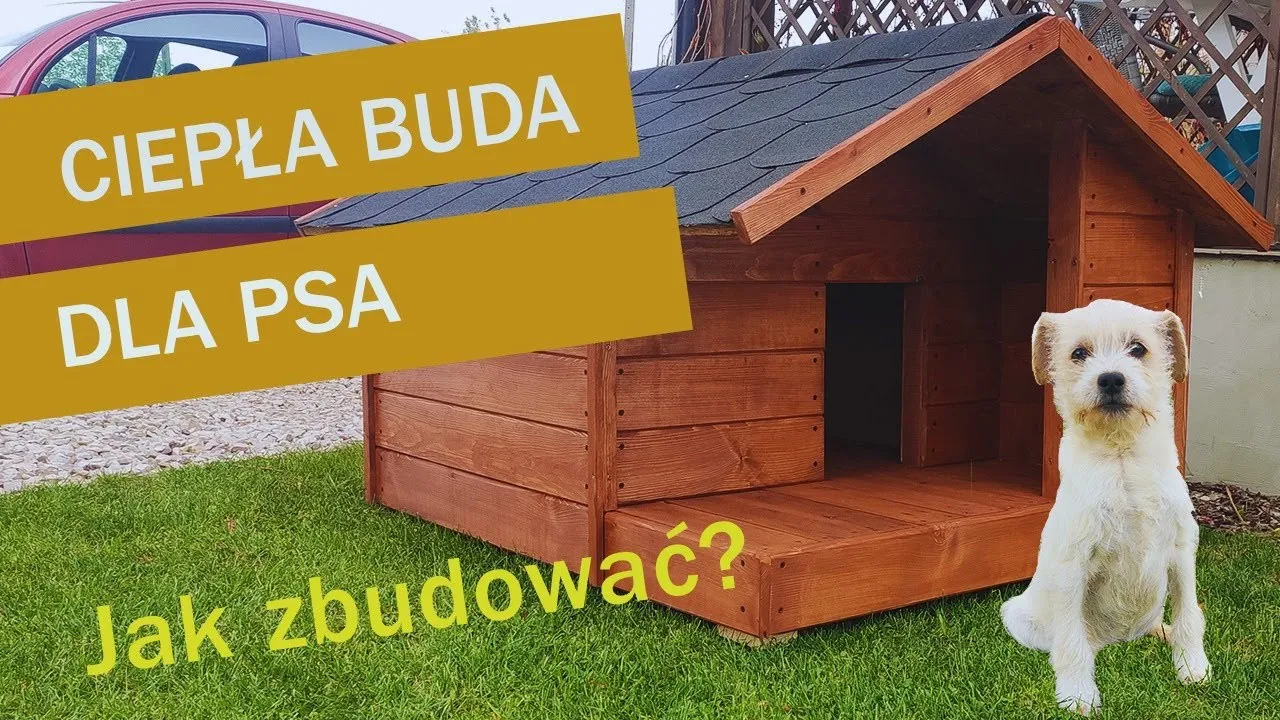 Zdjęcie Jak zrobić budę dla psa z desek – krok po kroku, aby Twój pies był szczęśliwy