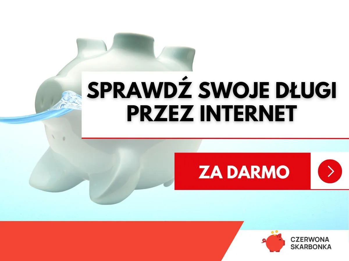 Zdjęcie Jak sprawdzić hipotekę przez internet i uniknąć nieprzyjemnych niespodzianek
