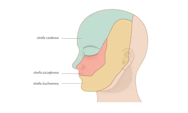 Zdjęcie Leki na nerw tr&oacute;jdzielny: Skuteczna terapia b&oacute;lu neuropatycznego