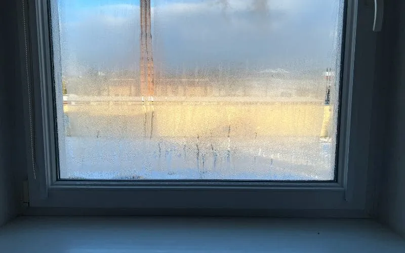 Zdjęcie Dlaczego mam mokre okna w domu? Oto przyczyny i skuteczne rozwiązania