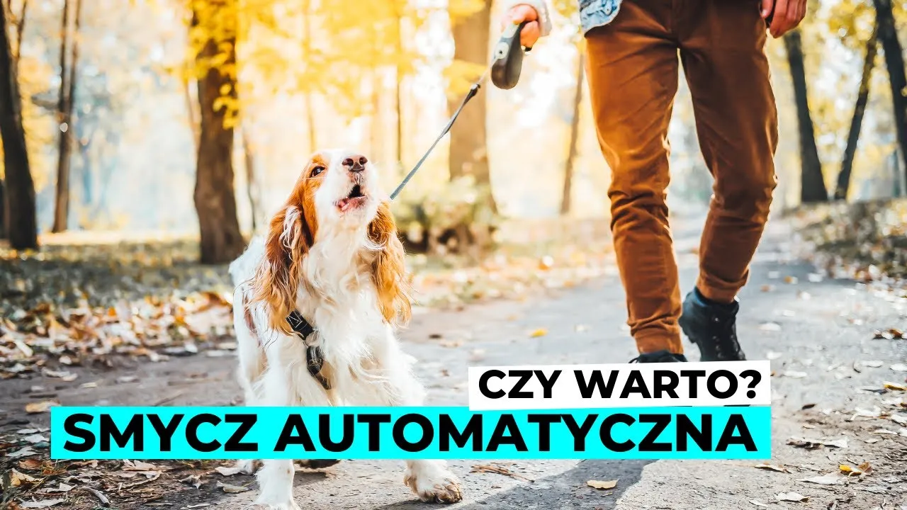 Zdjęcie Jak naprawić automatyczną smycz – proste kroki i porady, by uniknąć kosztownych błędów