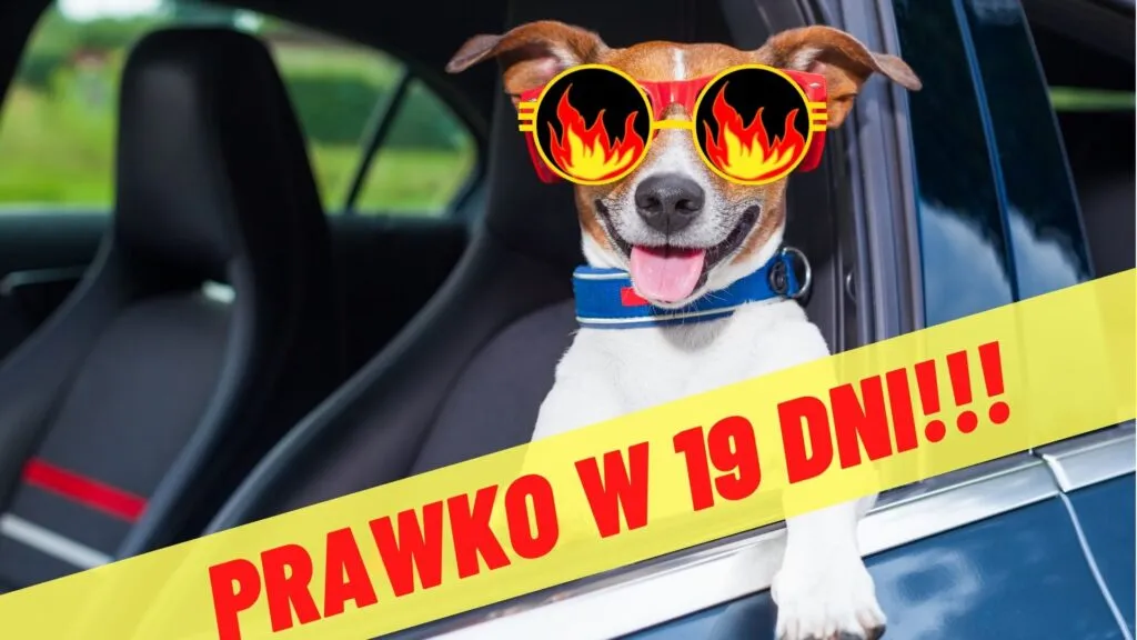 Zdjęcie Ile kosztuje egzamin w WORD? Sprawdź ceny i uniknij nieprzyjemnych niespodzianek