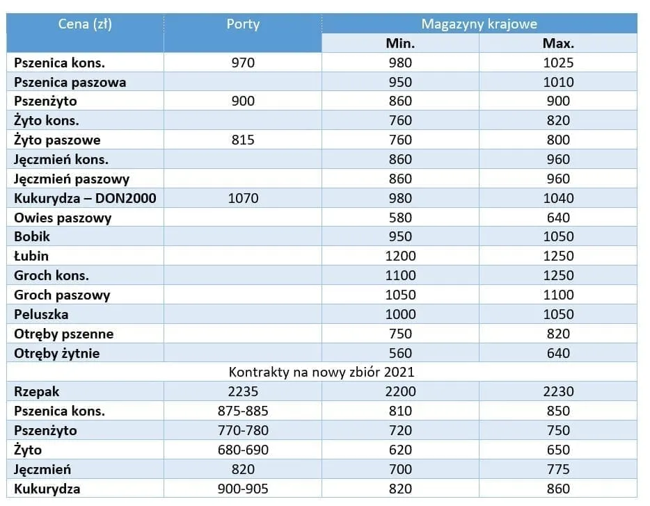 Zdjęcie Ile kosztuje tona zboża w skupie? Sprawdź aktualne ceny i różnice