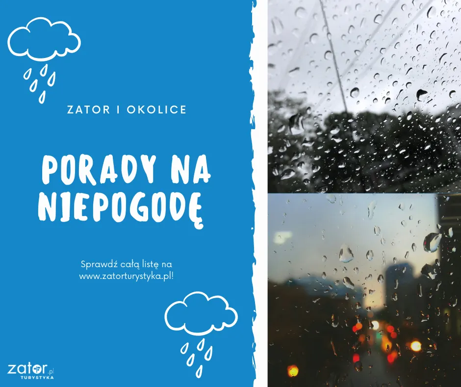 Zdjęcie Co robić w Helu, gdy pada? Kreatywne pomysły na deszczowy dzień