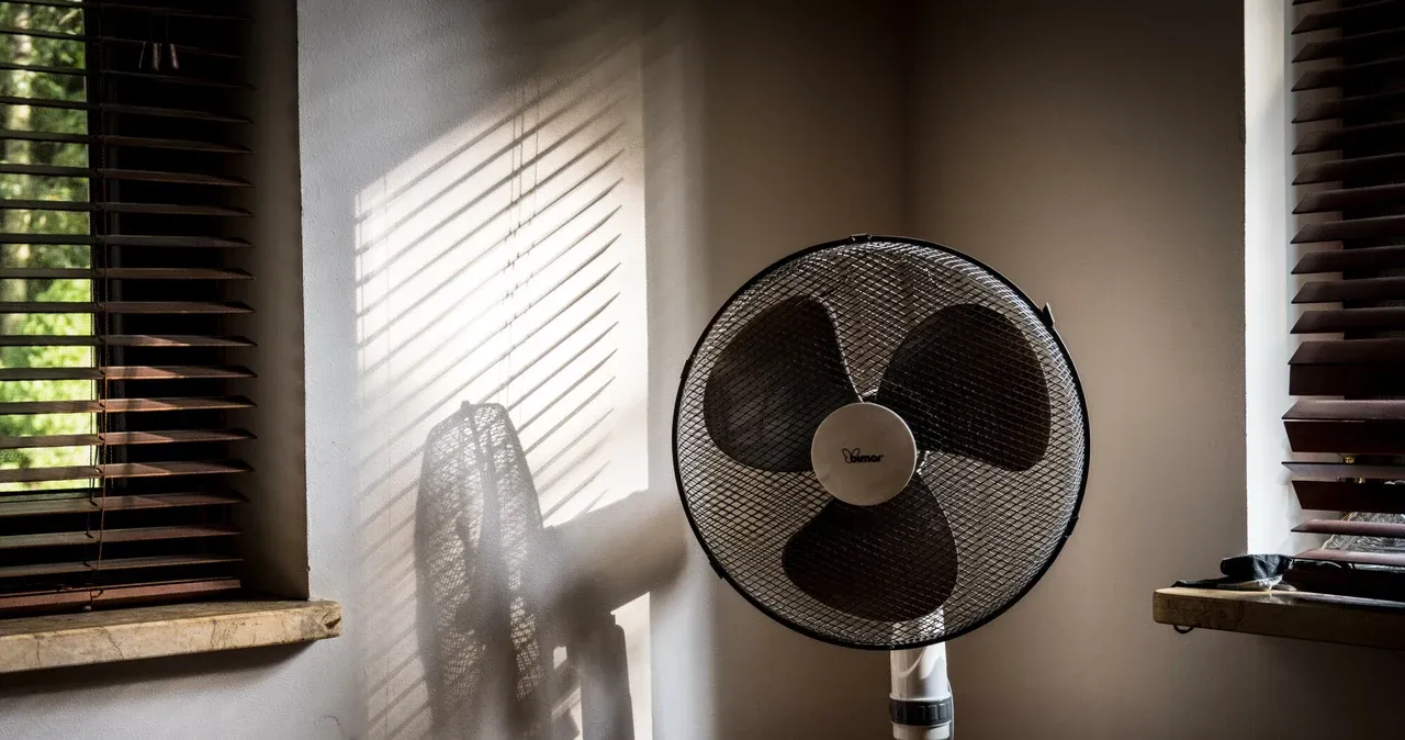 Zdjęcie Wiatrak ile prądu? Sprawdź, ile możesz zaoszczędzić na energii