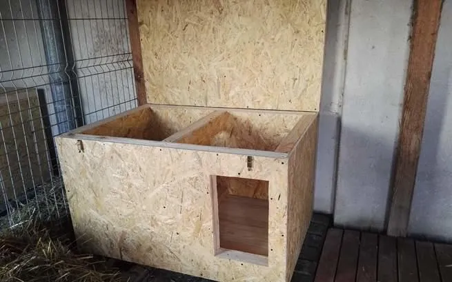 Zdjęcie Jak zrobić budę dla psa z płyty OSB: prosty poradnik dla majsterkowicza