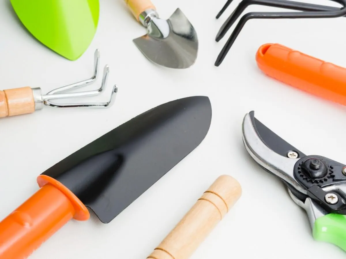 Zdjęcie Jakie narzędzia do trawnika są niezbędne? Lista must-have