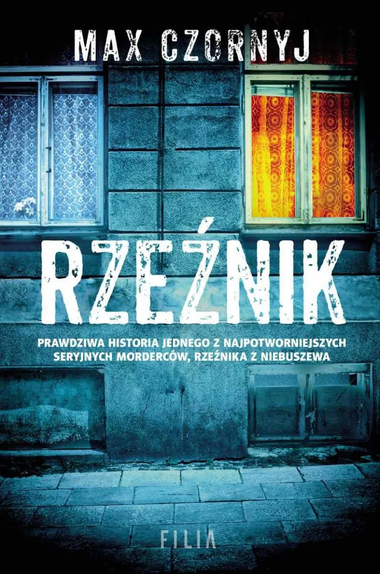 Zdjęcie Gdzie oddać książki w Szczecinie? Sprawdź najlepsze miejsca i opcje