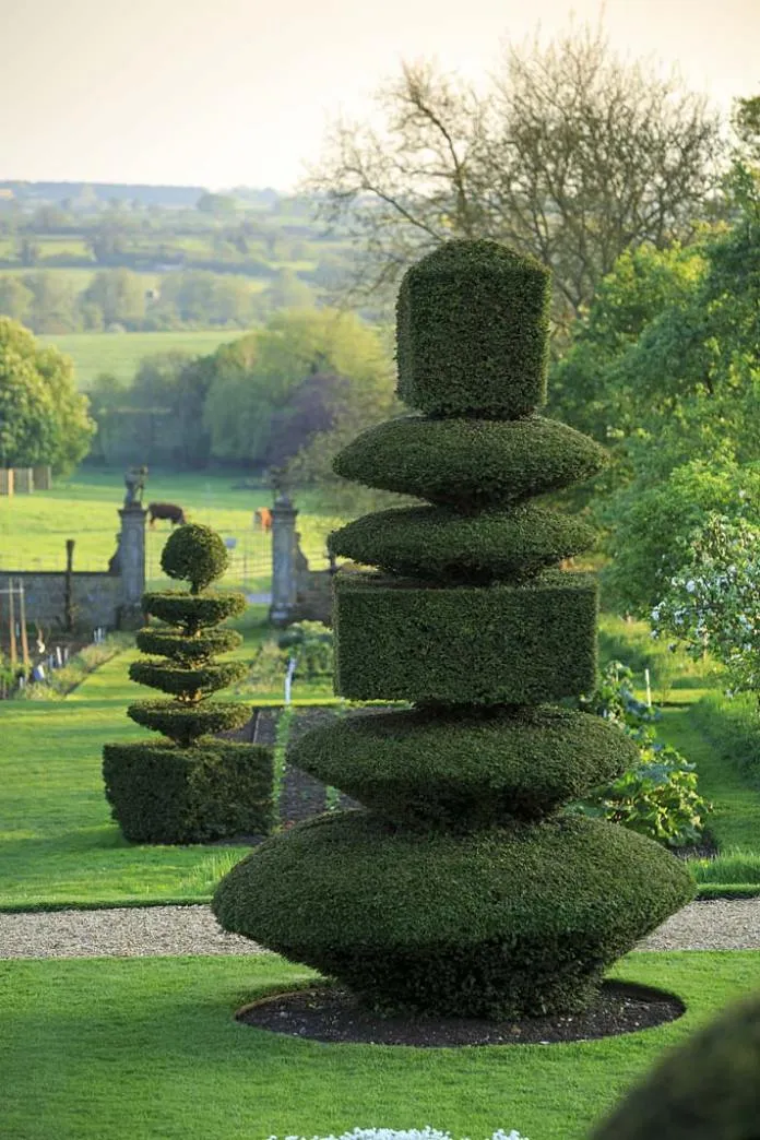 Zdjęcie Rzeźby z roślin – jak stworzyć zachwycające topiary w ogrodzie