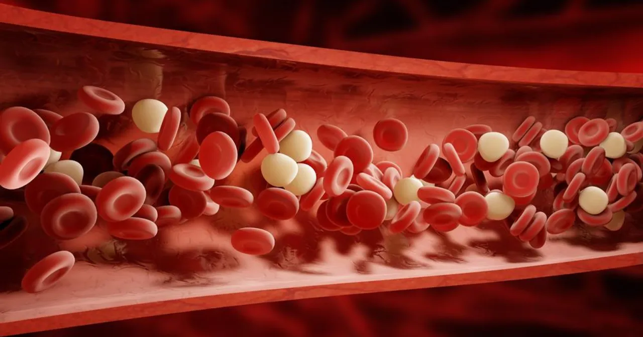Zdjęcie Co oznacza podwyższony poziom płytek krwi i jakie mogą być skutki?