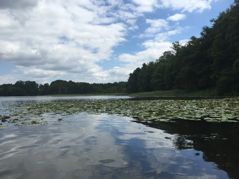 Zdjęcie Jezioro Tarnowskie Duże – tajemnice, atrakcje i rekreacja w okolicy