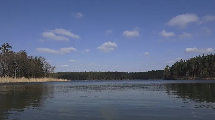 Zdjęcie Jezioro Białe Wigierskie: niezwykłe piękno i tajemnice przyrody