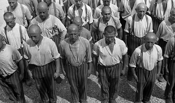 Zdjęcie Czy Twój przodek był w Dachau? Jak można odnaleźć listę więźniów?