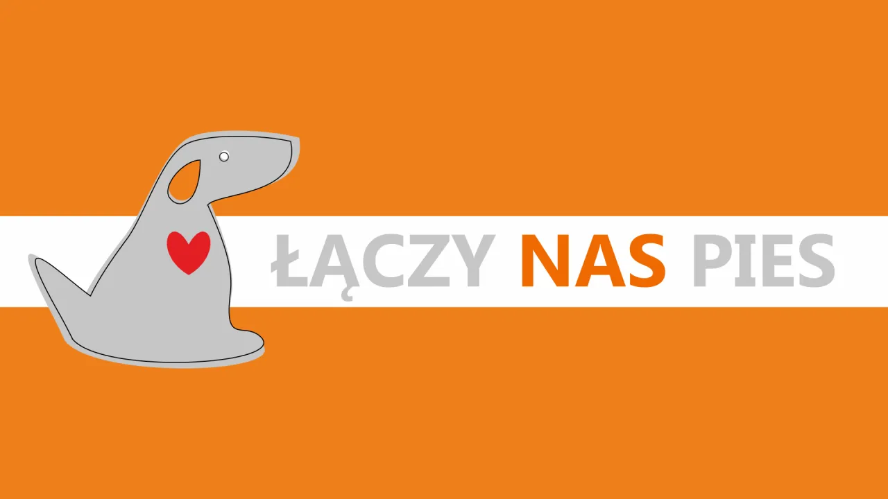 Zdjęcie Po jakim czasie szczeniaki zaczynają chodzić i co warto wiedzieć