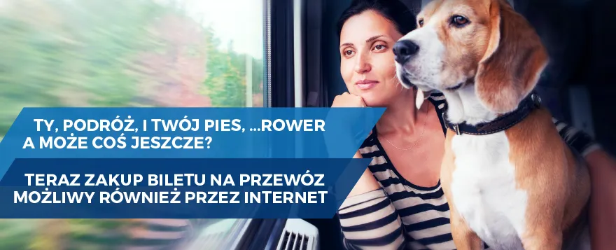 Zdjęcie Jak kupić bilet na rower w Intercity i uniknąć dodatkowych opłat