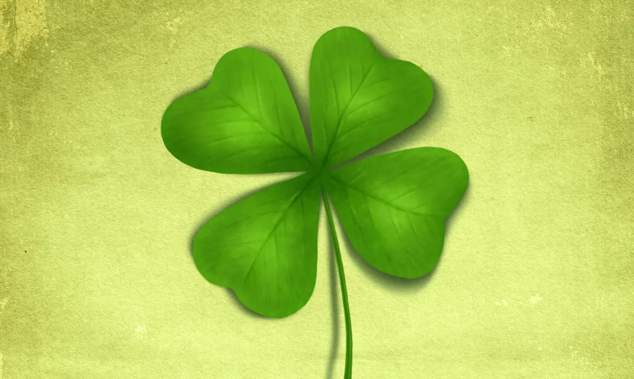 Zdjęcie Jaka roślina jest symbolem Irlandii i dlaczego koniczyna ma znaczenie?