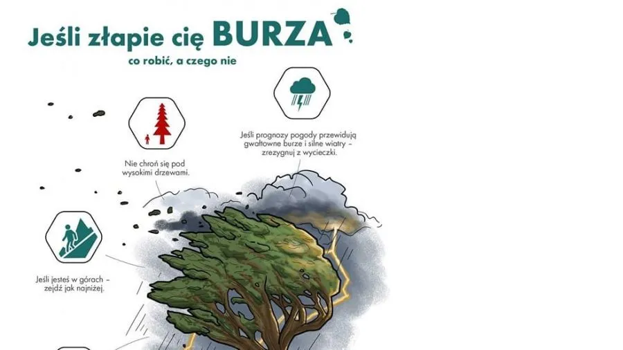 Zdjęcie Burza w lesie: Jak przetrwać? Praktyczny poradnik przetrwania