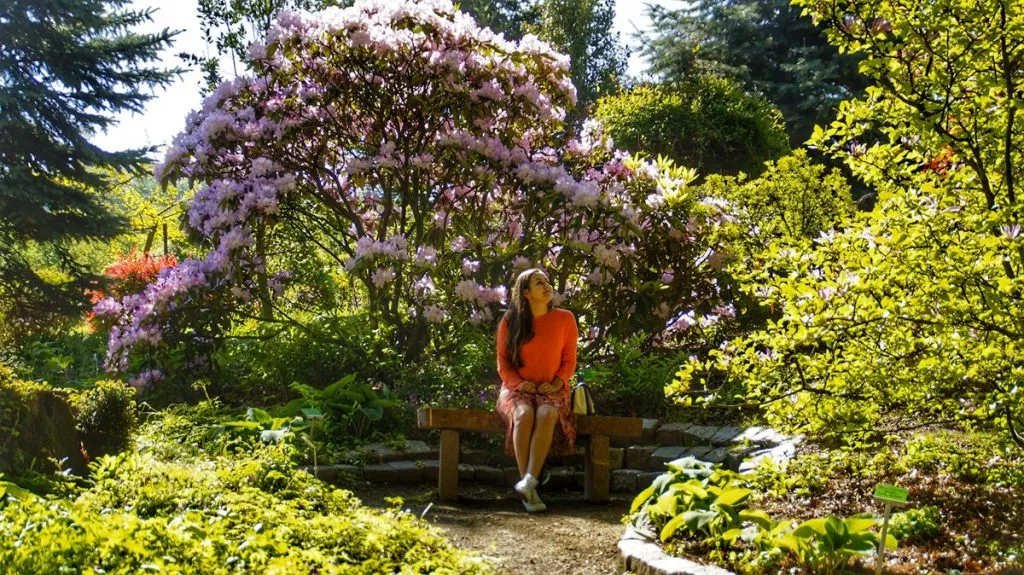 Zdjęcie Najlepszy czas na wizytę w Arboretum Wojsławice – uniknij rozczarowania i zaplanuj idealną wycieczkę